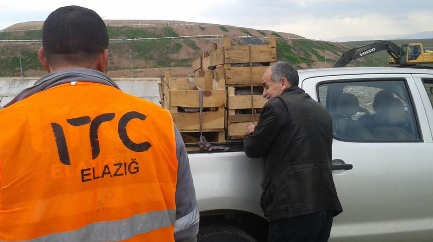 Elazığ&rsquo;da 900 kilo ka&ccedil;ak avlanan balık yakalandı