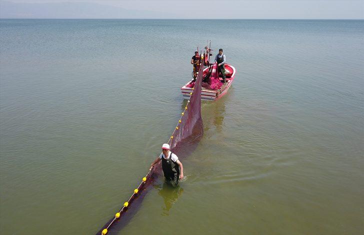 İznik Gölü'nde gümüş balığı bereketi G2