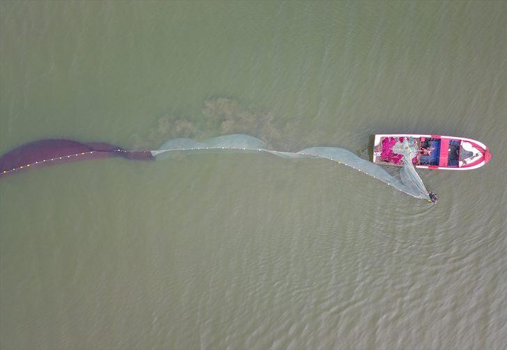 İznik Gölü'nde gümüş balığı bereketi G5