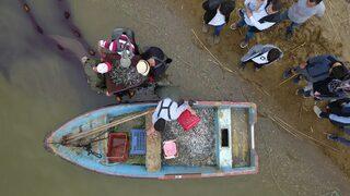 İznik Gölü'nde gümüş balığı bereketi