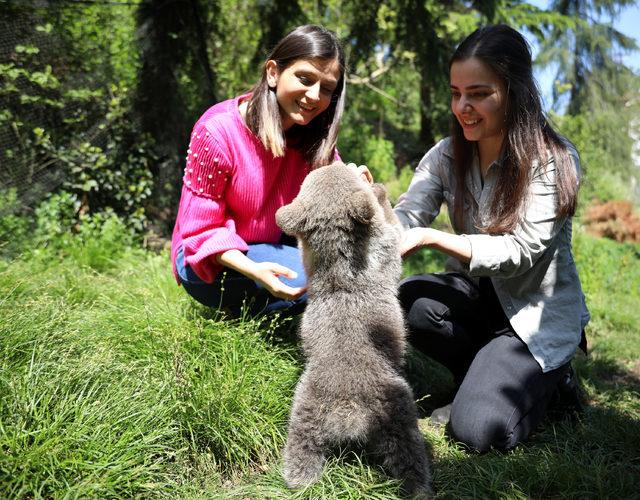 'Yogi' korumaya alındı