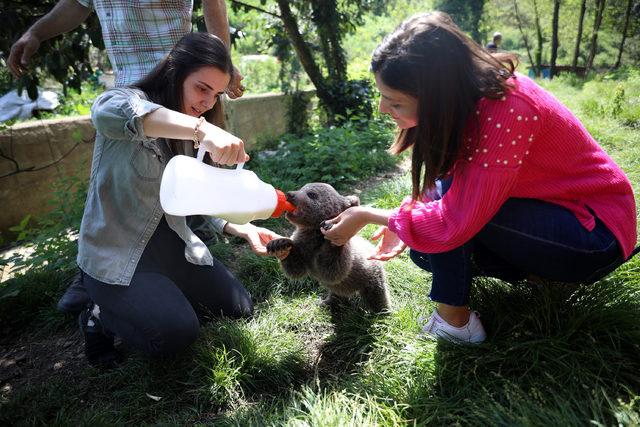 'Yogi' korumaya alındı