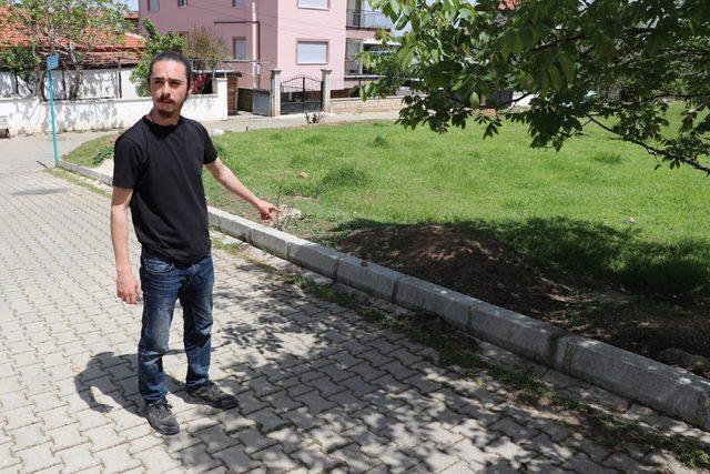 'Çakıl', yakın mesafeden havalı tüfekle öldürüldü