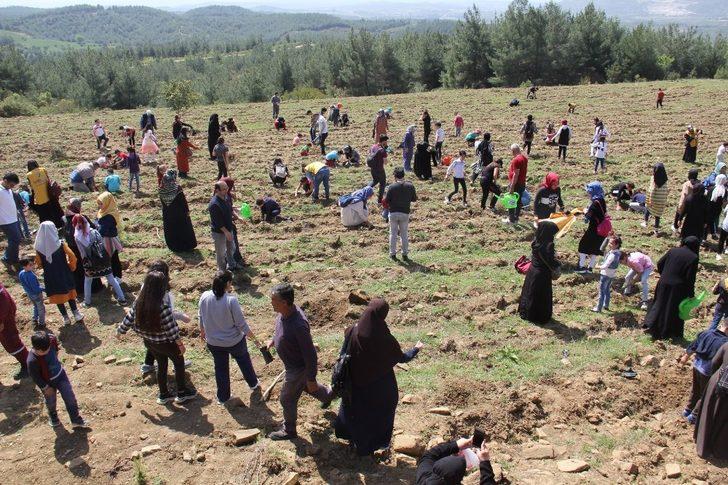 Fidan dikimi ve yürüyüş etkinliği G2