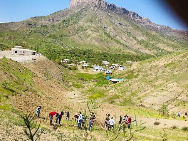 Derecik&rsquo;te bağ-bah&ccedil;e sezonu başladı 1