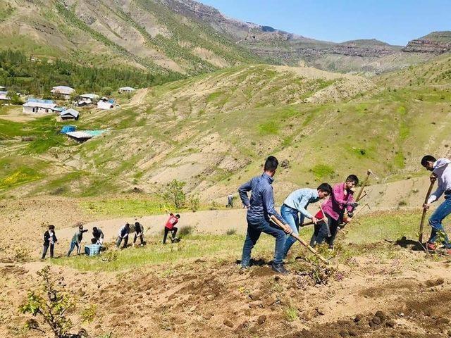 Derecik&rsquo;te bağ-bah&ccedil;e sezonu başladı 2