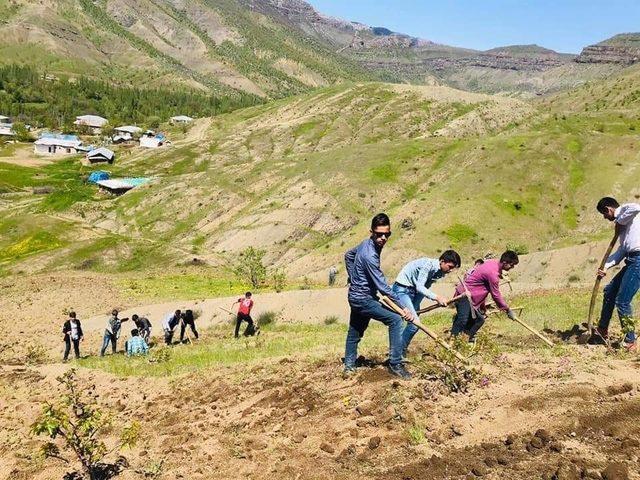 Derecik&rsquo;te bağ-bah&ccedil;e sezonu başladı 3