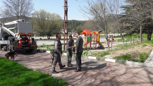 Tosya Belediyesi, mesire alanlarında bakıma çalışmalarını sürdürüyor