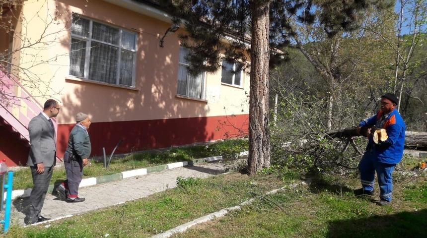 Tosya Belediyesi, mesire alanlarında bakıma çalışmalarını sürdürüyor