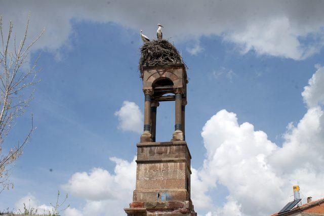 Tarihi çan kulesi, 59 yıldır leyleklere ev sahipliği yapıyor