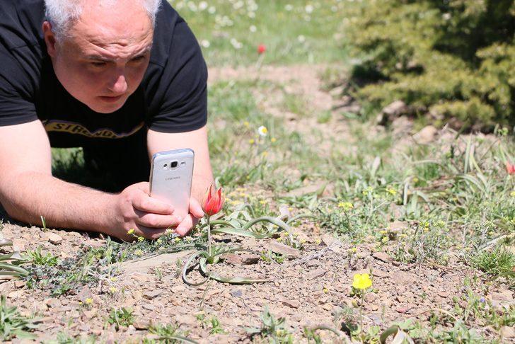 Manisa Lalesi'ni koparana 60 bin lira ceza! G2