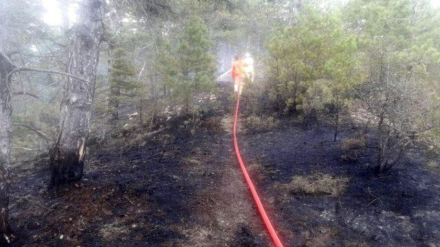 Yıldırım düşmesi sonrası çıkan yangınlar büyümeden söndürüldü