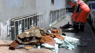 Sinir krizi geçirdiği iddia edilen kadın sokağı savaş alanına çevirdi