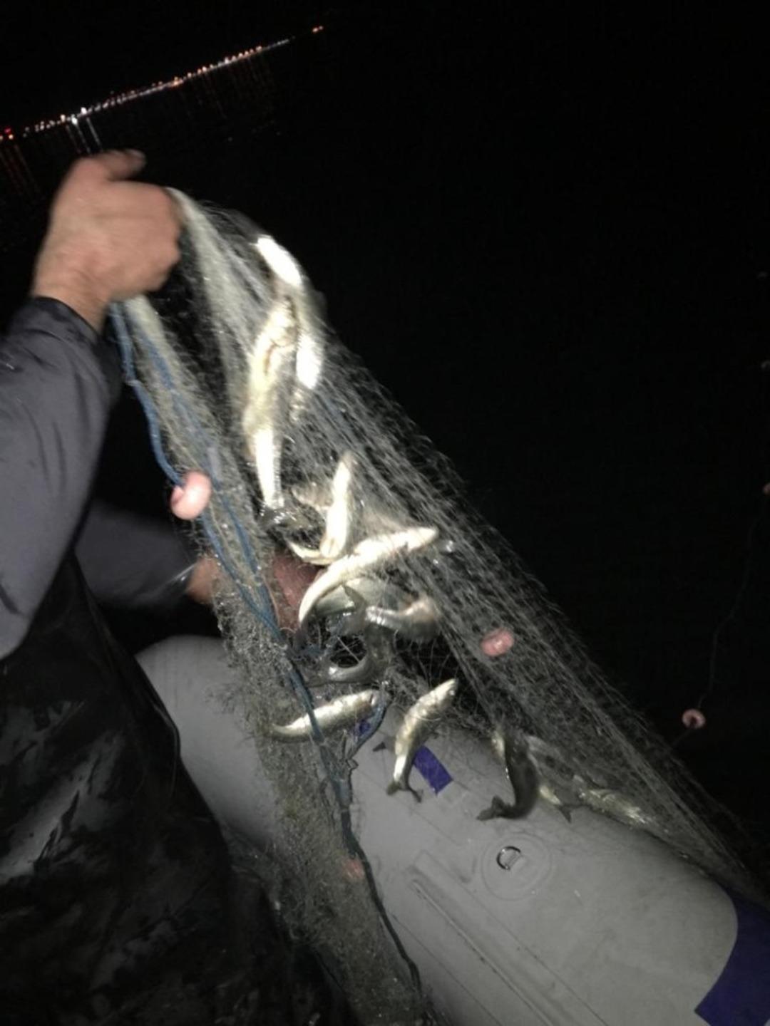 Jandarma ekipleri gece g&uuml;nd&uuml;z balık n&ouml;betinde