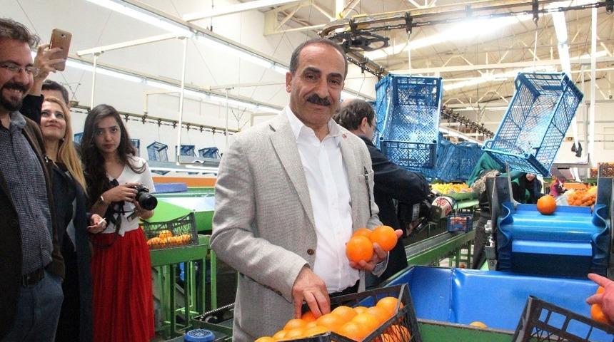 Tarım OSB&rsquo;ler, Ege tarım &uuml;r&uuml;nleri ihracatını 1 milyar dolar artıracak