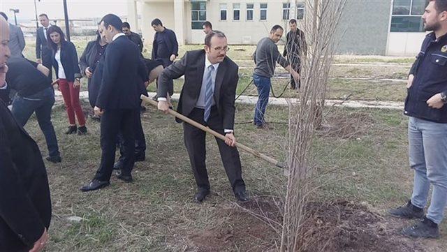 Kars’ta adliye personeli fidan dikti