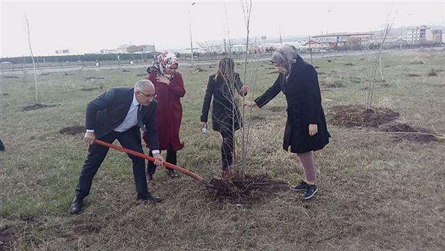 Kars’ta adliye personeli fidan dikti