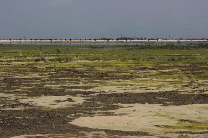 Amik Ovası’ndaki sular çekiliyor Son Dakika Haberler