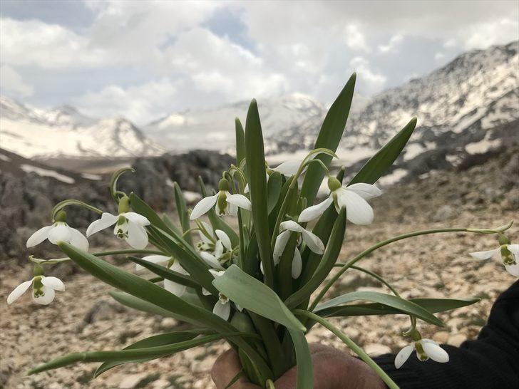 Karlar eriyince ortaya çıktı! İşte Torosların gelinliği G1