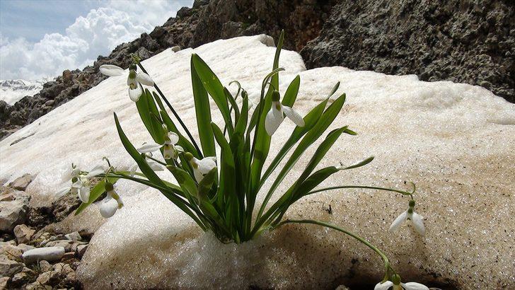 Karlar eriyince ortaya çıktı! İşte Torosların gelinliği G4