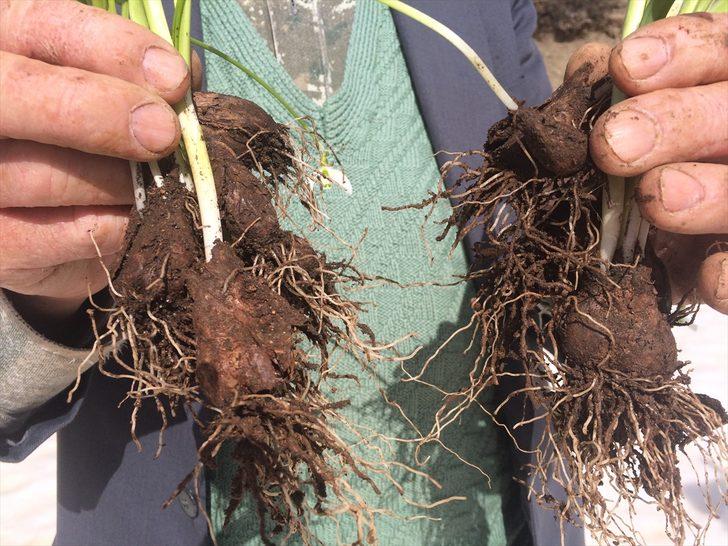 Karlar eriyince ortaya çıktı! İşte Torosların gelinliği G5