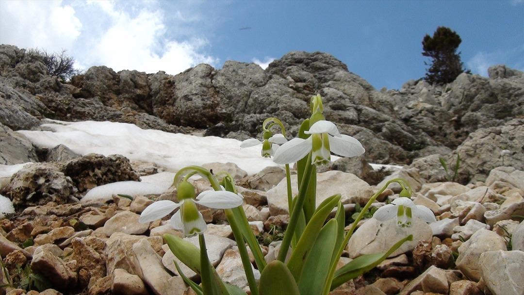 Karlar eriyince ortaya &ccedil;ıktı! İşte Torosların gelinliği