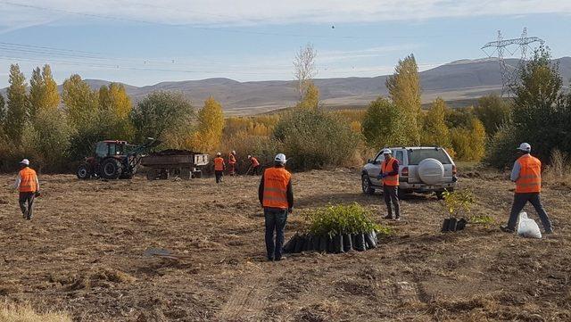 Tuşba Belediyesinden ‘Model Ceviz Bahçesi’ projesi