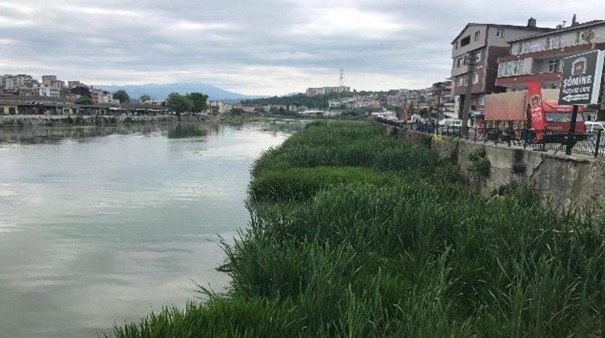 &Uuml;&ccedil; g&uuml;nd&uuml;r &ccedil;amura saplı kalan k&ouml;peği itfaiye kurtardı