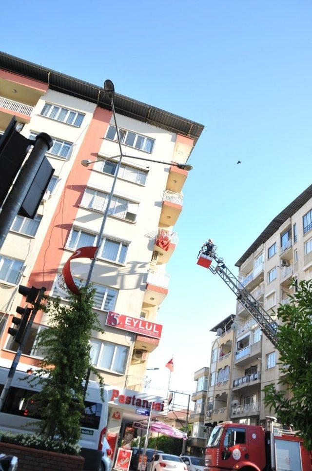 Yavru karga itfaiye ve polise zor anlar yaşattı