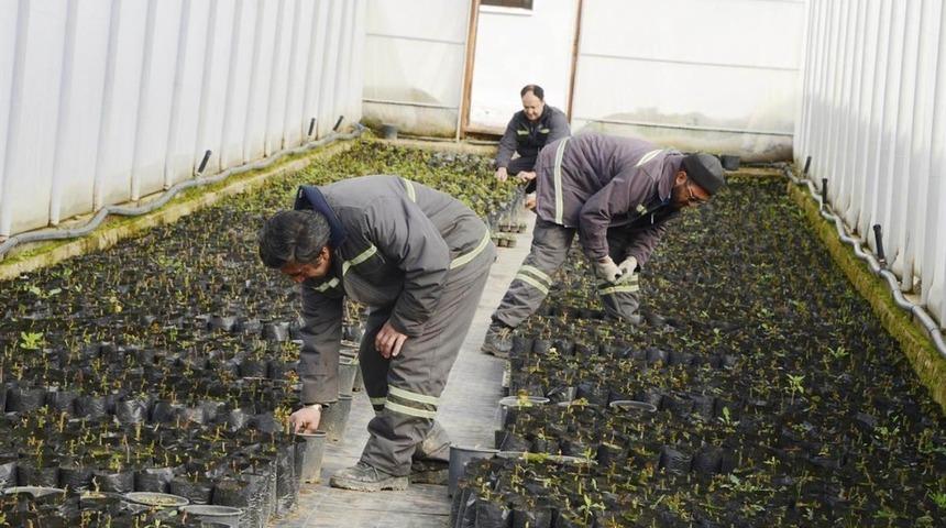 Meram Belediyesi kendi fidanını &uuml;reterek 700 bin TL tasarruf sağlıyor