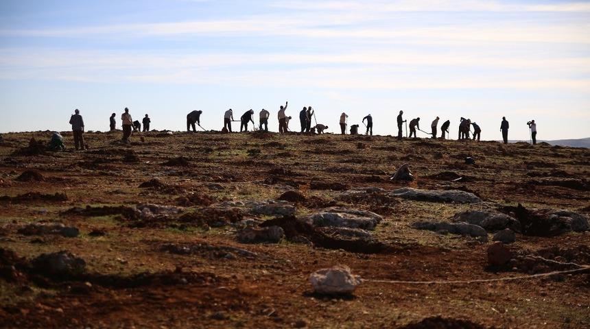 Şehitkamil 18. ormanına kavuşuyor