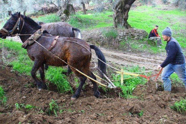 İşçi Bayramı’nın öteki yüzü