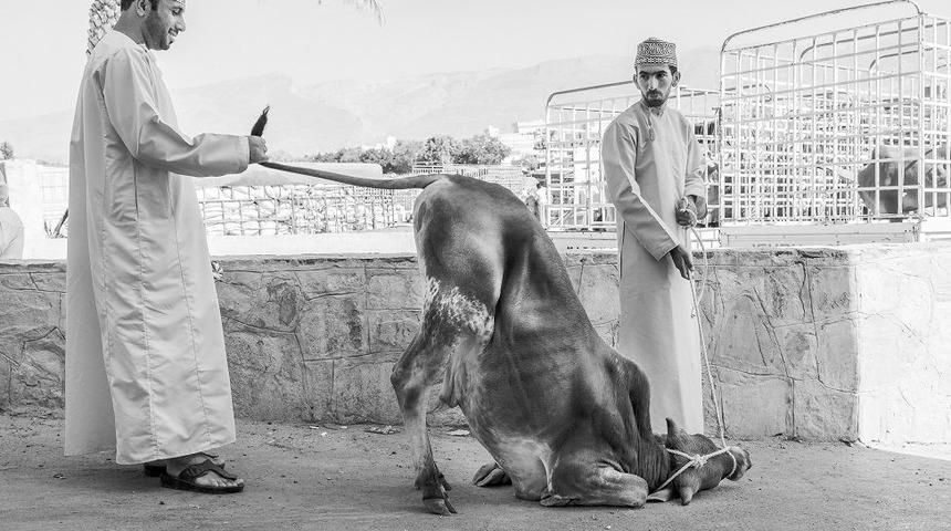 2019'un en iyi yemek fotoğrafları