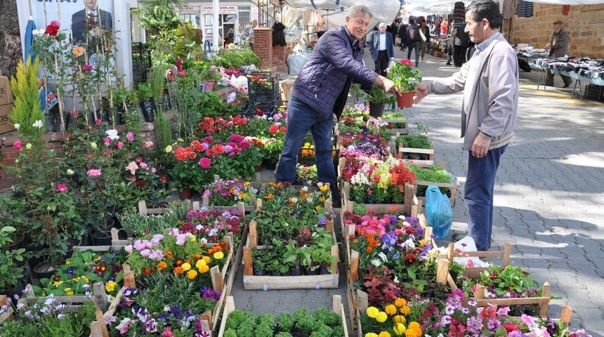 Bahar çiçekleri tezgahlardaki yerini aldı
