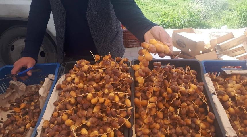 Dalında taze hurma büyük görüyor