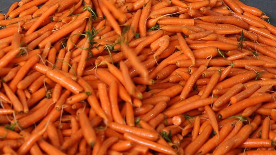 Kış ayında sebze ekilir mi? Soğuğa dayanıklı 10 sebze a&ccedil;ıklandı! 1