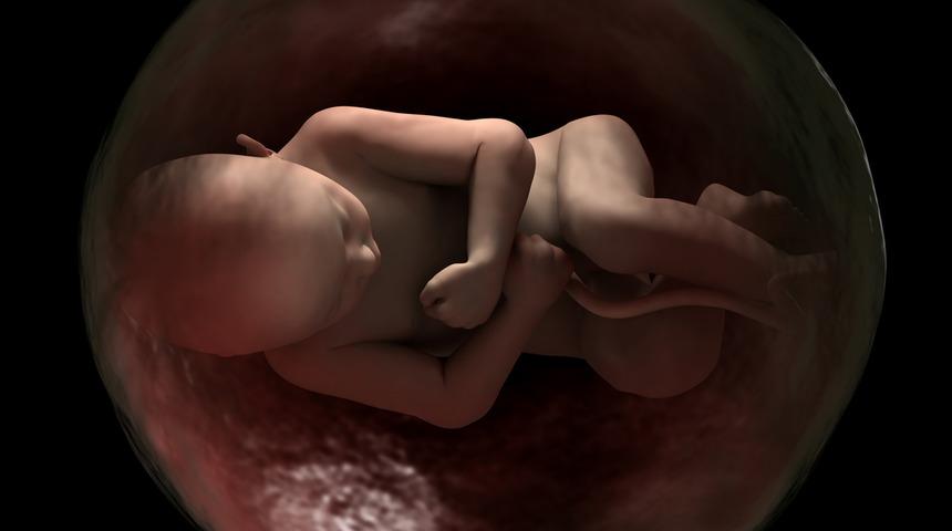 Bebeğin rahimdeki konumu ne anlama geliyor?