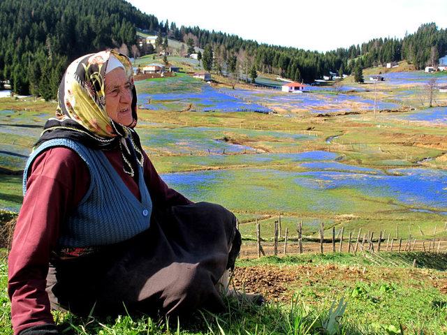 Kadıralak Yaylası'nda, yöre halkını sevindiren haber