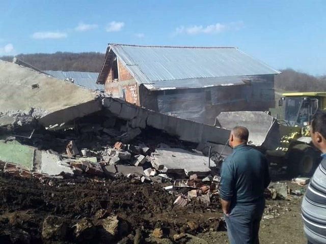 Sinop’ta iki katlı ev yıkıldı, 25 koyun telef oldu