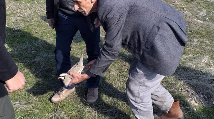 Elazığ’da keklik markalama envanteri çalışması