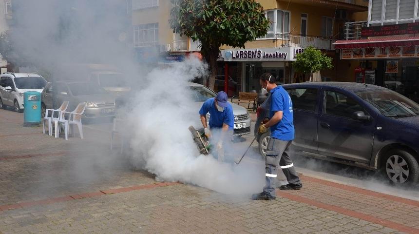 B&uuml;y&uuml;kşehirden  sinekle m&uuml;cadele