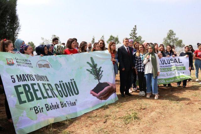 Şanlıurfa’da ‘bir bebek bir fidan’ projesi