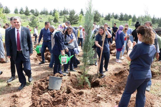 Şanlıurfa’da ‘bir bebek bir fidan’ projesi