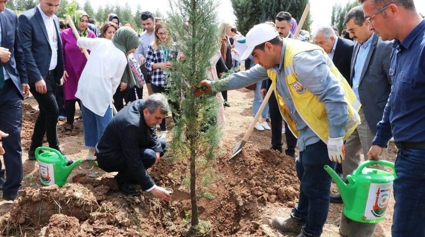 Şanlıurfa&rsquo;da &lsquo;bir bebek bir fidan&rsquo; projesi