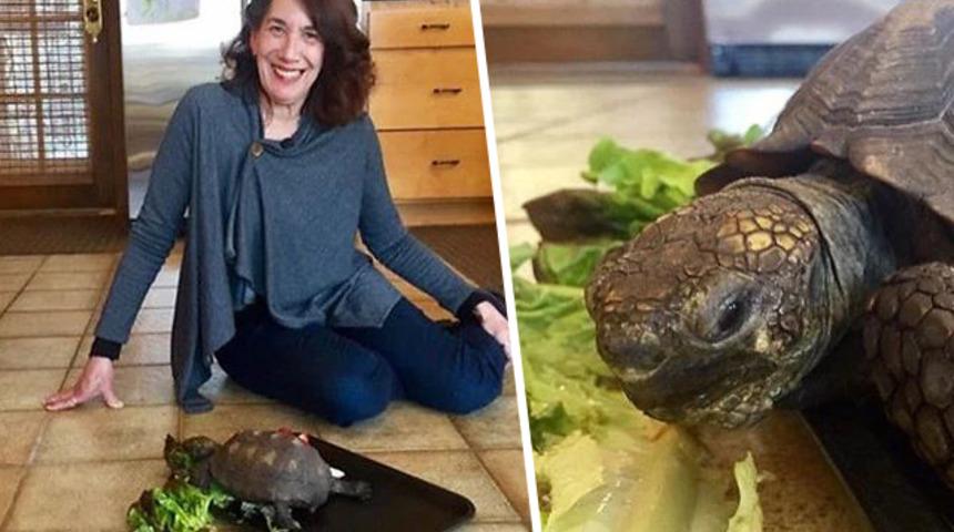 56 yıllık dost! 10 yaşında hediye gelmişti şimdi 67 yaşında! 