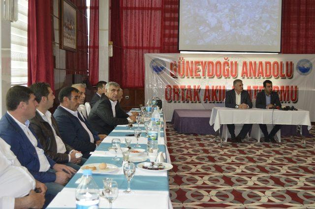 Güneydoğu Anadolu Ortak Akıl Platformu’ndan açıklama