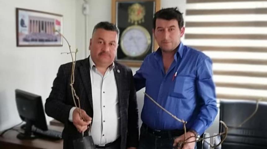 Buldan’da kivi fidanı dağıtıldı