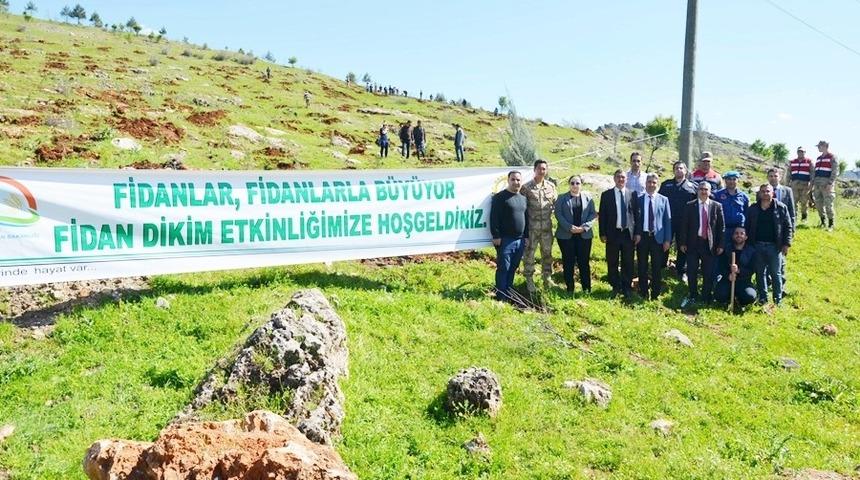 Heykel Dağı eteklerine bin fidan dikildi