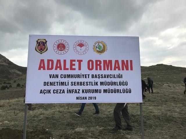 Van’da ‘Adalet Ormanı’ oluşturuldu