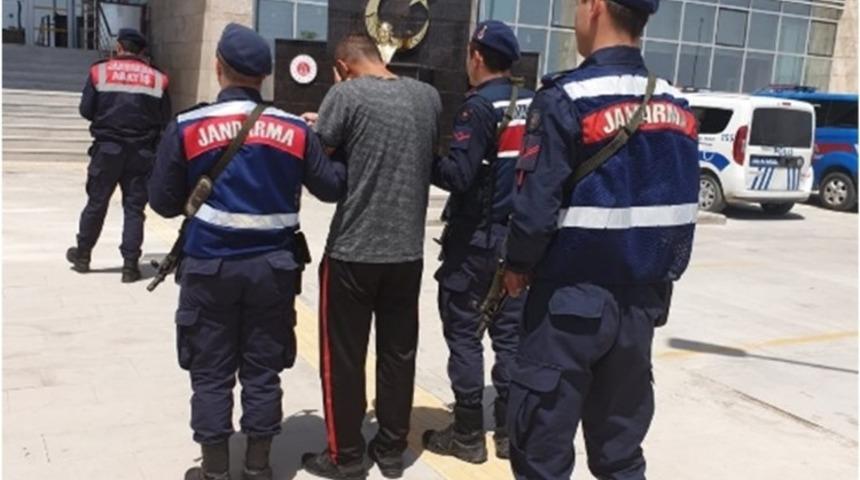 Mersin&rsquo;de 5 kişi ter&ouml;r &ouml;rg&uuml;t&uuml; &uuml;yesi olmaktan yakalandı